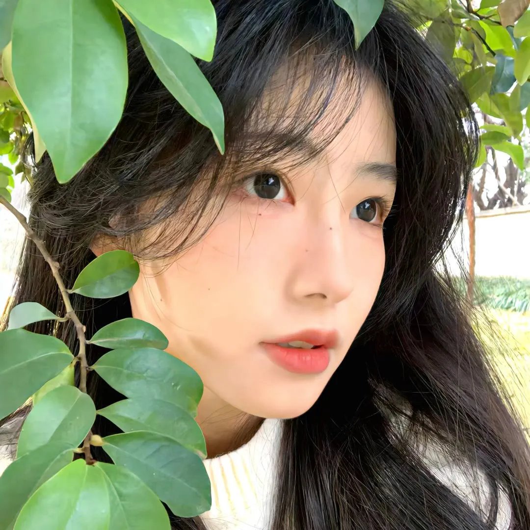 蓝色大丽花