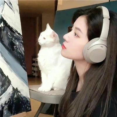 盲侠破三关